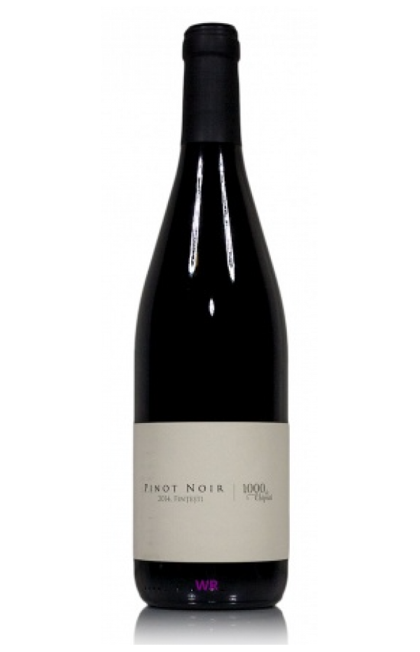 Pinot Noir Fintesti